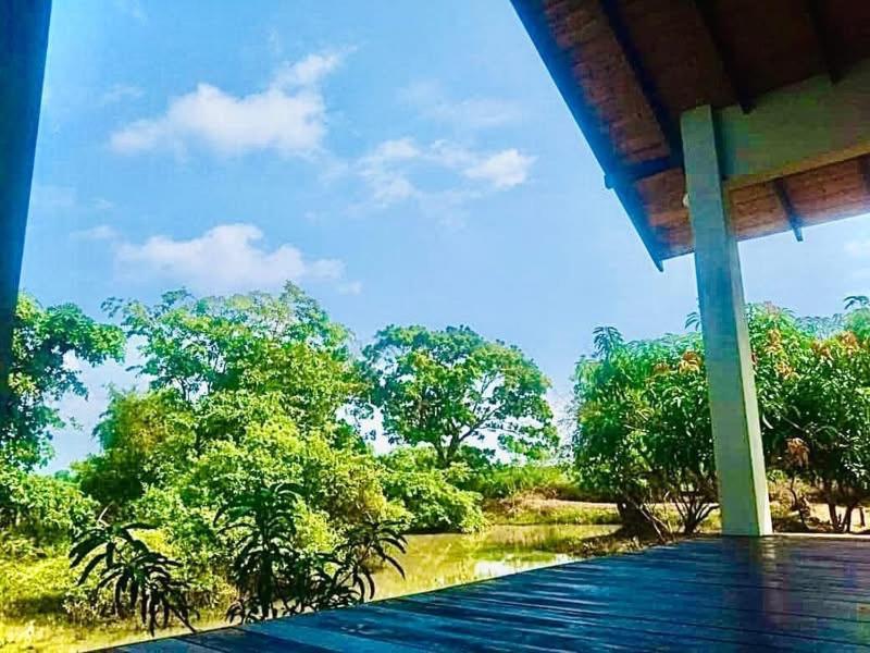 Thihawa Eco Huts Yala Bed & Breakfast Tissamaharama Eksteriør bilde
