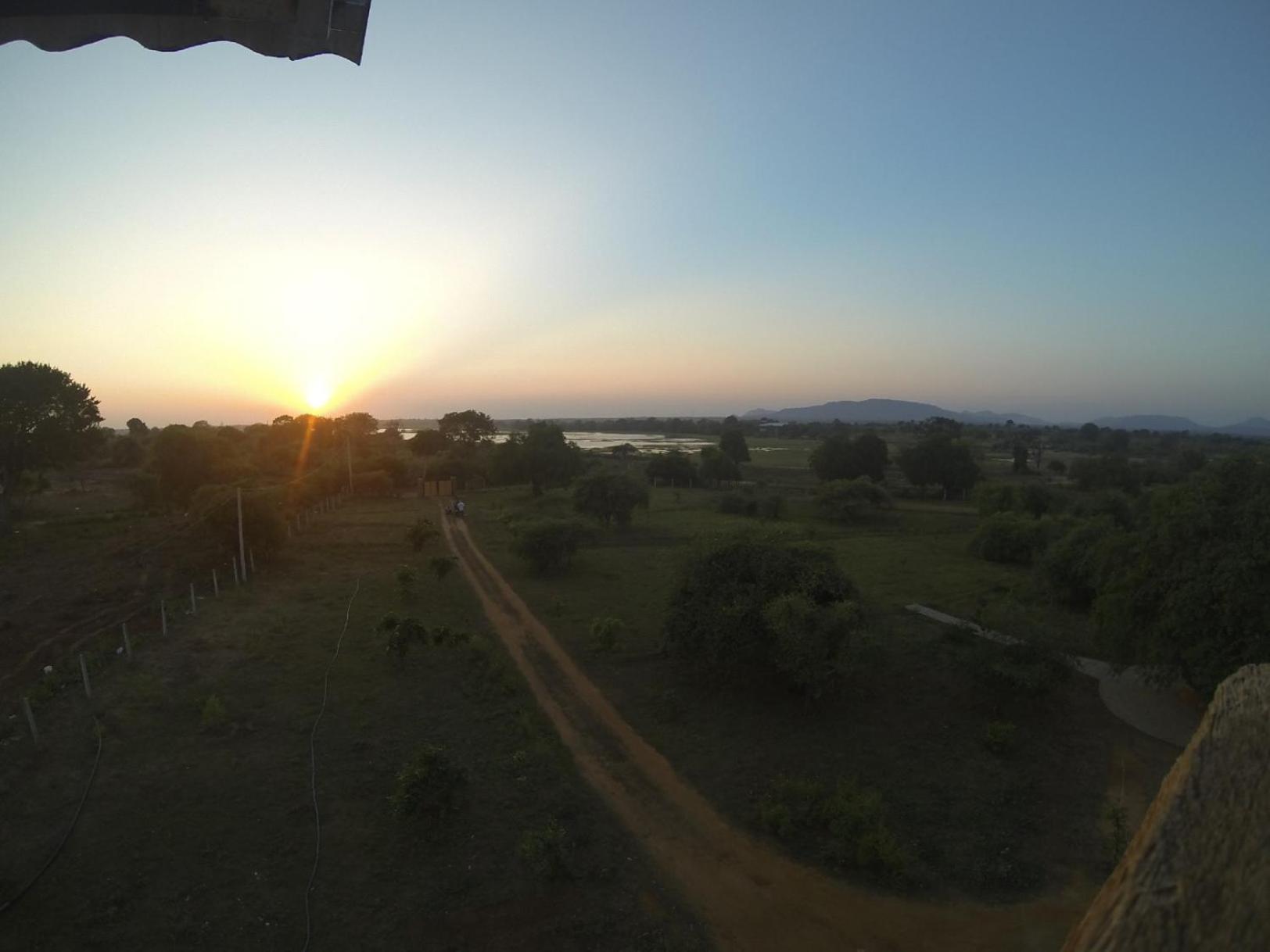 Thihawa Eco Huts Yala Bed & Breakfast Tissamaharama Eksteriør bilde