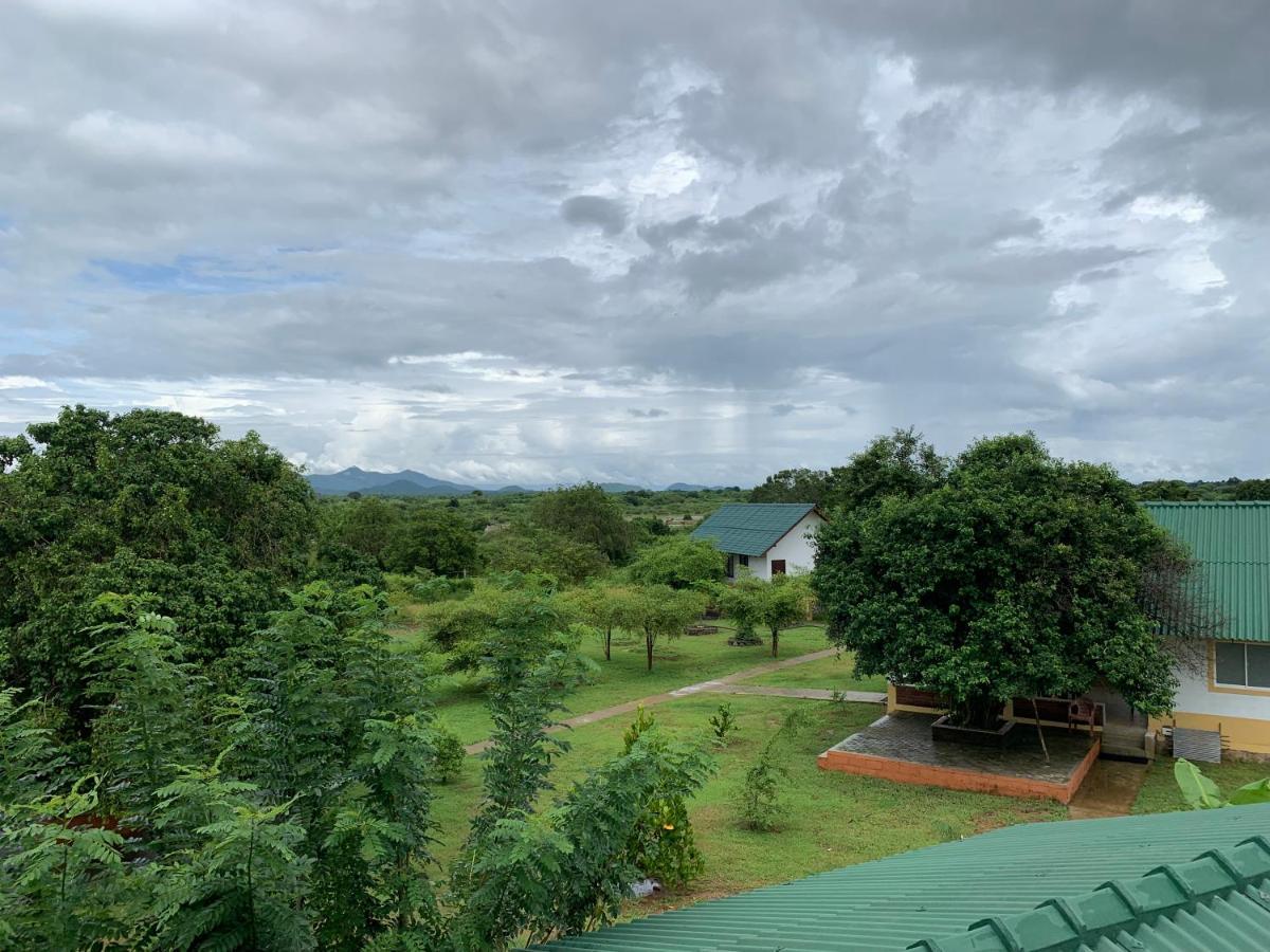 Thihawa Eco Huts Yala Bed & Breakfast Tissamaharama Eksteriør bilde